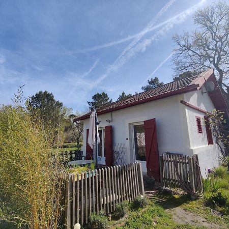 D&D, La Maison Des Ecureuils Lesperon  エクステリア 写真